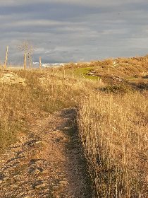Figuiès, chemin au dessus de la maison, soir d'été., Béatrice Boyer