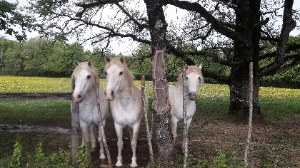 La Garance Voyageuse, Chevauchée Nature