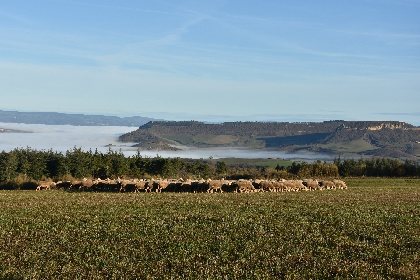 Ferme d'Alcas - visite, Ferme d'Alcas