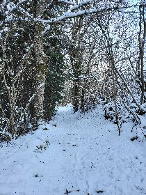 La tanière de Claire en hiver, OFFICE DE TOURISME DE PARELOUP LEVEZOU
