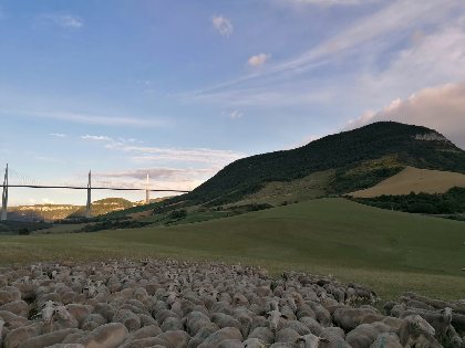 Le viaduc de Millau tout proche et l'activité agricole du hameau, L'Oustal