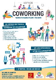 Pépinière d'entreprises Chrysalis, Chrysalis