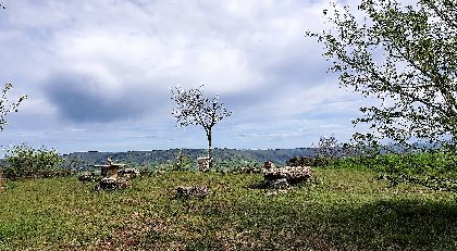 La table de Maurice, OFFICE DE TOURISME de CONQUES-MARCILLAC