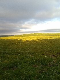 Rand'Oc Aventure, OFFICE DE TOURISME DE RODEZ AGGLOMERATION