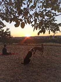 Coucher de soleil, Aire de la Combe d'Issart