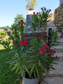 La grange de Félix, macaine.vincent@gmail.com