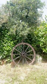 La Grange du Contourès, La Grange de Contourès