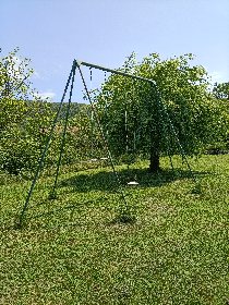 Les Ophrys, Les Clés du Larzac