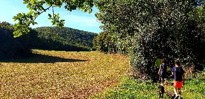 Le volcan des causses, ROQUEFORT TOURISME