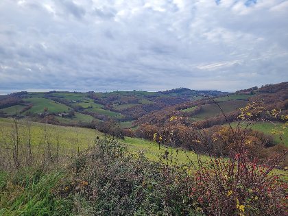 Nature et détente, ROQUEFORT TOURISME