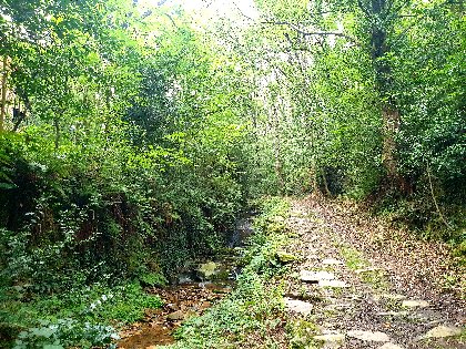 N°19 - À fond les vallons !, ROQUEFORT TOURISME