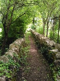 Le village, Les Mirabelles