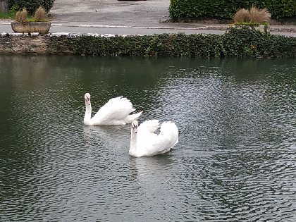 Les Mirabelles, Les Mirabelles