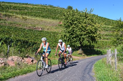 Circuit cyclo dans le vallon de Marcillac, OFFICE DE TOURISME de CONQUES-MARCILLAC