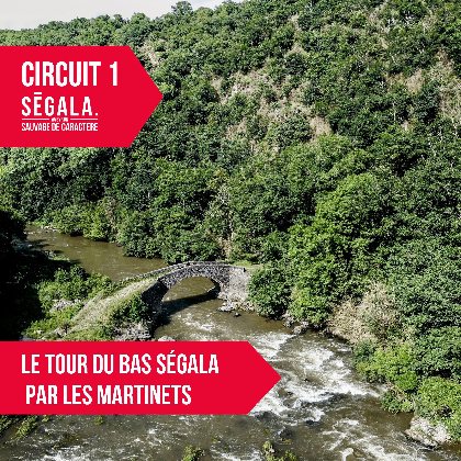 circuit VTT VAE - Le tour du Bas Ségala par les martinets du Lézert, OFFICE DE TOURISME AVEYRON SEGALA