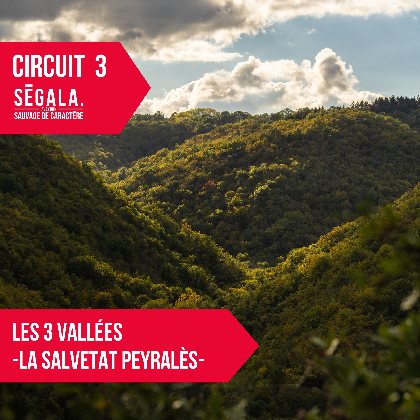 circuit VTT VAE - Les 3 vallées - La Salvetat Peyralès, OFFICE DE TOURISME AVEYRON SEGALA