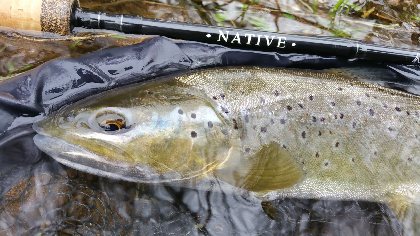 Aveyron Pêche et Nature, Aveyron Pêche et Nature