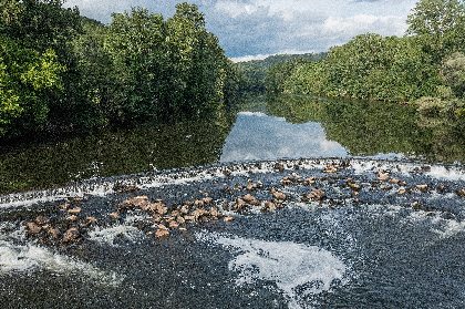 Aveyron Pêche et Nature, Aveyron Pêche et Nature