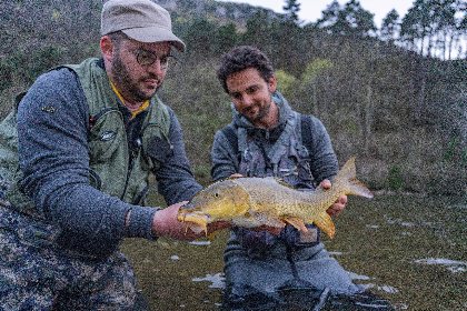 Aveyron Pêche et Nature, Aveyron Pêche et Nature