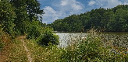  Le chemin des moines - étang de Bonnefon, OFFICE DE TOURISME PAYS SEGALI