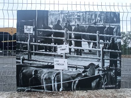 Exposition de photos 