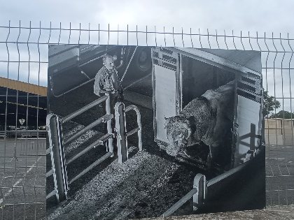 Exposition de photos 