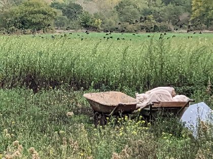 Kalys Artisan Agricole, Kalys Artisan Agricole