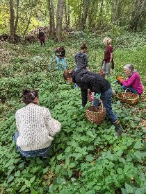 Kalys Artisan Agricole, Kalys Artisan Agricole