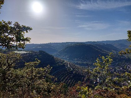 Les Olivades , Nathalie DEWERE