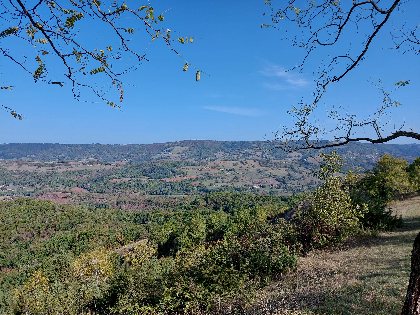 Les Olivades , Nathalie DEWERE