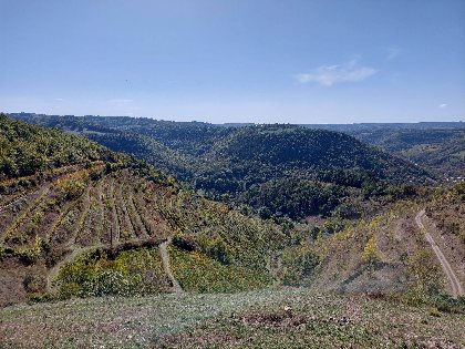 Les Olivades , Nathalie DEWERE