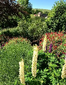 Lunel de Miel , Nathalie DEWERE