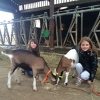 La Ferme du Lévézou accueil de groupes, La Ferme du Lévézou