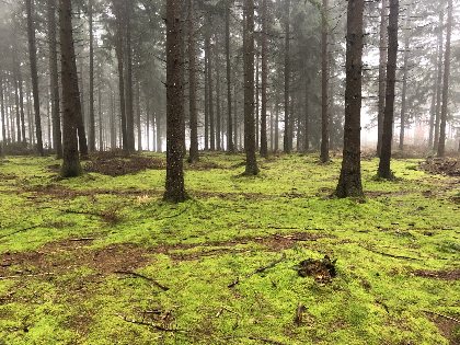 Chambre d'hôte chez Laurence, OFFICE DE TOURISME DE PARELOUP LEVEZOU