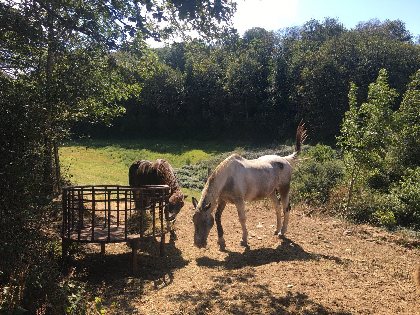 Chambre d'hôte chez Laurence, OFFICE DE TOURISME DE PARELOUP LEVEZOU