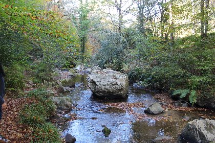 Site d'Escalade de Trescos, OFFICE DE TOURISME DU REQUISTANAIS