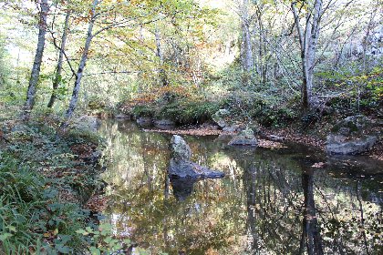 Site d'Escalade de Trescos, OFFICE DE TOURISME DU REQUISTANAIS