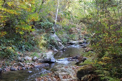 Site d'Escalade de Trescos, OFFICE DE TOURISME DU REQUISTANAIS