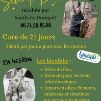 Séve de Bouleau fraîche et locale, OFFICE DE TOURISME DE PARELOUP LEVEZOU