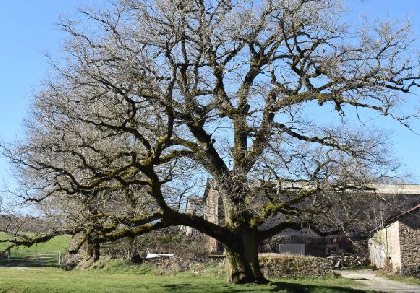 Alaret Méjanès Mérican- RANDO, OFFICE DE TOURISME DE PARELOUP LEVEZOU