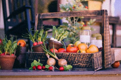 Atelier cuisine : La cuisine du marché