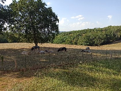 Gîte L'Esprit nature, Gîte L'Esprit nature