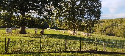 Gîte L'Esprit nature, Gîte L'Esprit nature