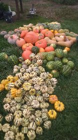 Ferme beau regards , FERME BEAUX REGARDS