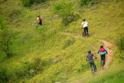 Trott' e-Trott', Trott.e.Trott