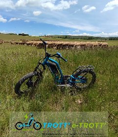 Trott' e-Trott', Trott.e.Trott