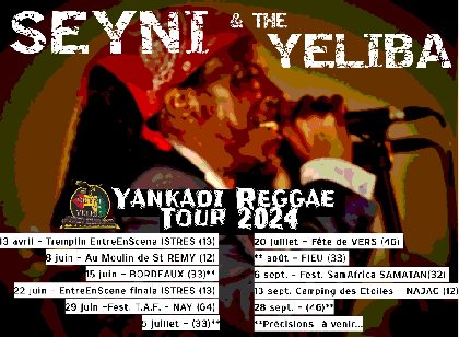 Concert de Seyni & The Yeliba au camping des étoiles