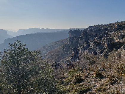 Fed' Ane - Balades et randonnées avec un âne, OFFICE DE TOURISME DE MILLAU