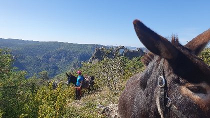 Fed' Ane - Balades et randonnées avec un âne, OFFICE DE TOURISME DE MILLAU