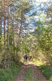 Fed' Ane - Balades et randonnées avec un âne, OFFICE DE TOURISME DE MILLAU